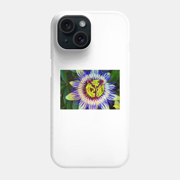 Passion Flower Summer Flowering Plant Phone Case by AndyEvansPhotos