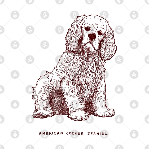 Vintage American Cocker Spaniel by You Miichi