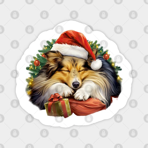 Lazy Shetland Sheepdog at Christmas Magnet by Chromatic Fusion Studio