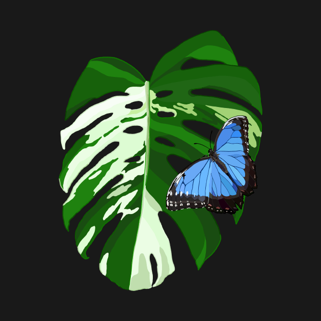 Blue Morpho Butterfly on a Monstera Albo Leaf by Tinker and Bone Studio