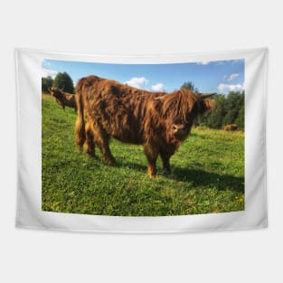 Scottish Highland Cattle Calf 2054 Tapestry