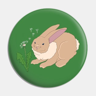 Cute Rabbit and Dandelion Pin