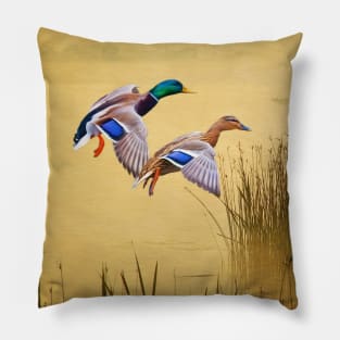 Male and Female Mallard Ducks Pillow