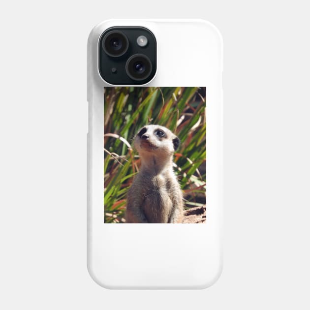 Meerkat Phone Case by kirstybush