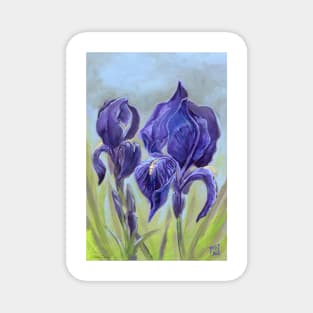 Bearded Irises Magnet