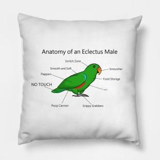 Anatomy of An Eclectus Male Pillow