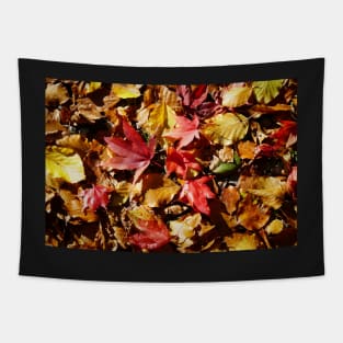 Colorful Fallen Autumn Leaves 1 - Seasons - Nature Abstract Tapestry