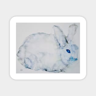 BLUE EYES RABBIT Magnet