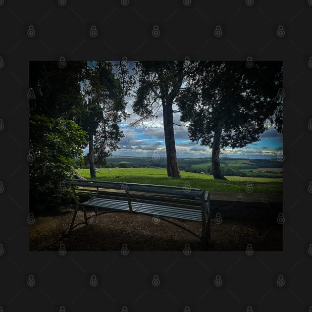 Yorkshire Bench by Graz-Photos