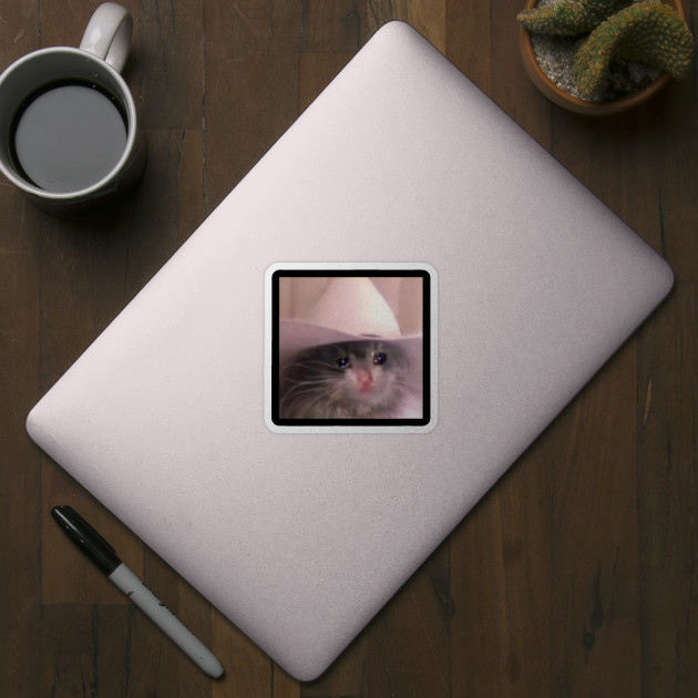 Sad Cat Cowboy Hat Sad Cat Cowboy Hat Sticker Teepublic