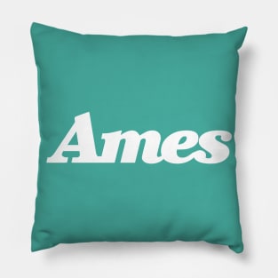 Ames Department Store Pillow