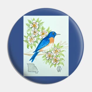 Missouri state bird & flower, the eastern bluebird & hawthorn Pin