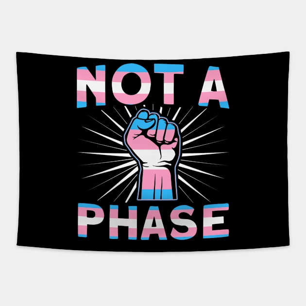 LGBT Pride Month Not a phase Trans Gay Pride Tapestry by Toeffishirts