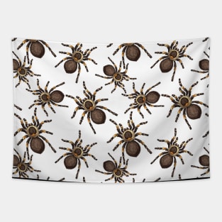 Tarantulas on white Tapestry