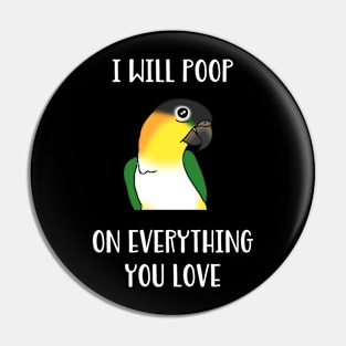 black headed caique will poop on everythong you love Pin