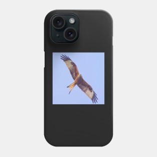 Red Kite in Flight Phone Case