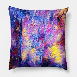 Colorful New Fashion Pillow