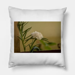 cli moss rose Pillow