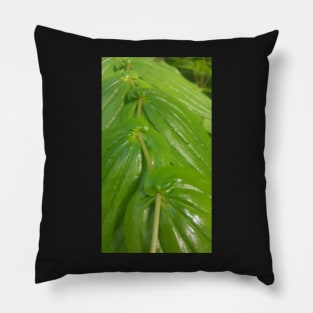 Leaf zig zag Pillow