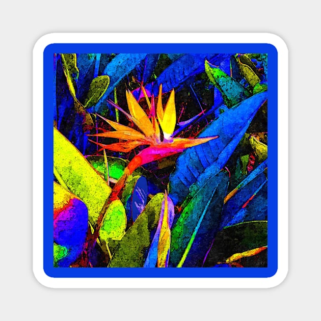 Colorful Bird of Paradise Flower and Leaves Painting Magnet by oknoki