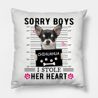 Black Chihuahua Sorry Boys I Stole Her Heart Pillow