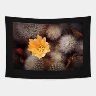 Prickle Queen Tapestry