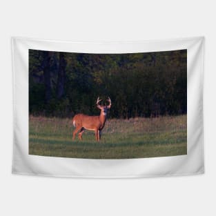 Deer in the Meadow - White-tailed deer Tapestry