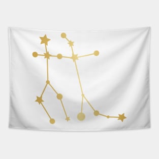 Gemini Zodiac Constellation in Gold Tapestry