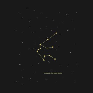 Aquarius Constellation. Gold T-Shirt