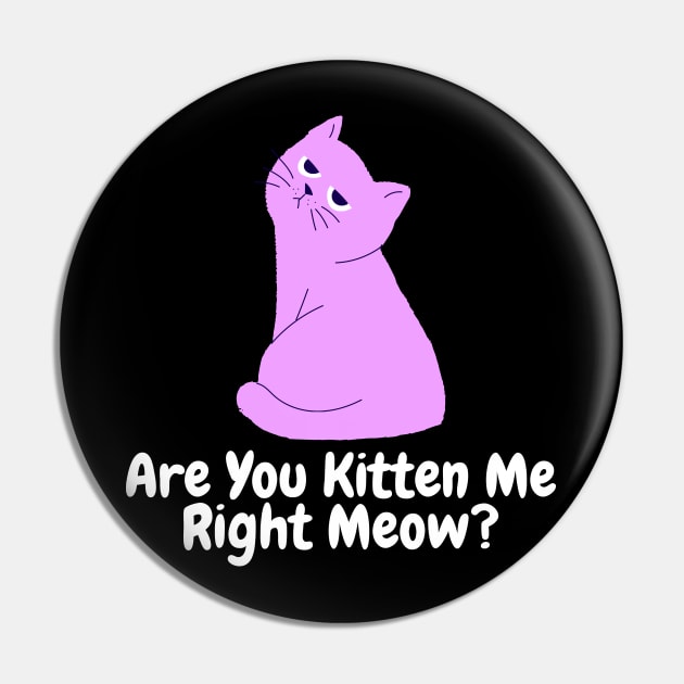 Are You Kitten Me Right Meow Angry Cat Pin by PorcupineTees