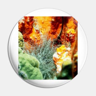 Corkscrew Anemone and Arrow Crab Coral Reef Grotto Pin