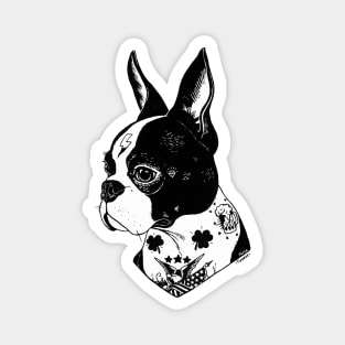 Tattooed Boston Terrier Magnet