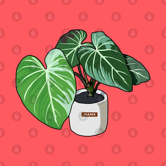 Philodendron Plants by Go Trends