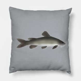 Golden Nile Catfish Pillow