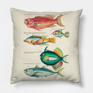 Fishes found in Indonesia and the East Indies (1678 -1746) Pillow