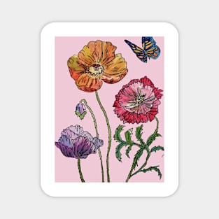 Pretty Poppies Watercolour on Pastel Pink Magnet