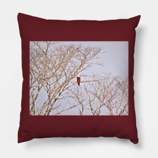 THE EAGLES TREES Pillow