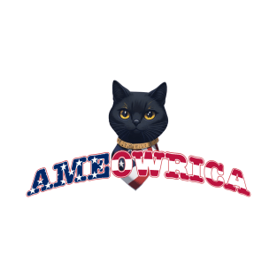 Patriotic American Cute Black Cat Ameowrica T-Shirt