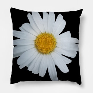 Daisy flower Pillow