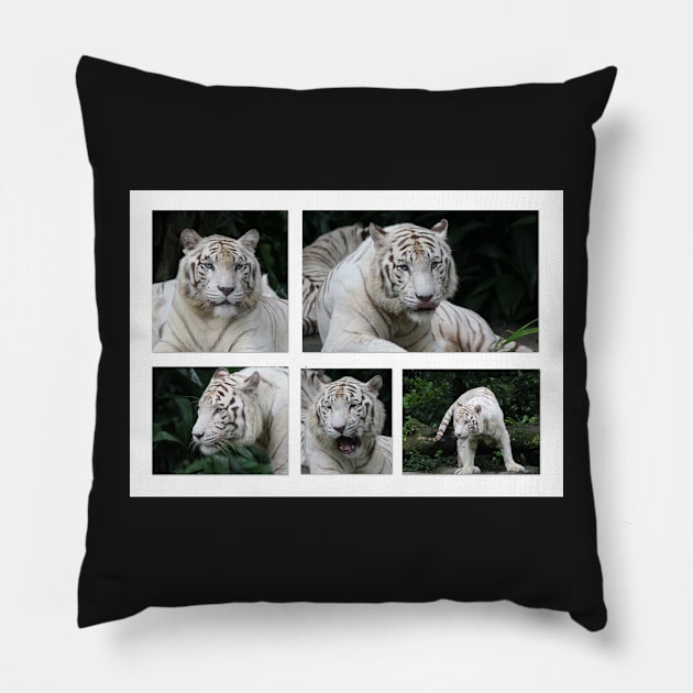 White Tiger Beauty Pillow by LeanneAllen