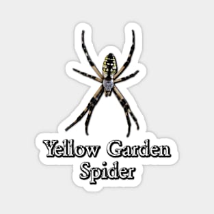 Yellow Garden Spider Magnet