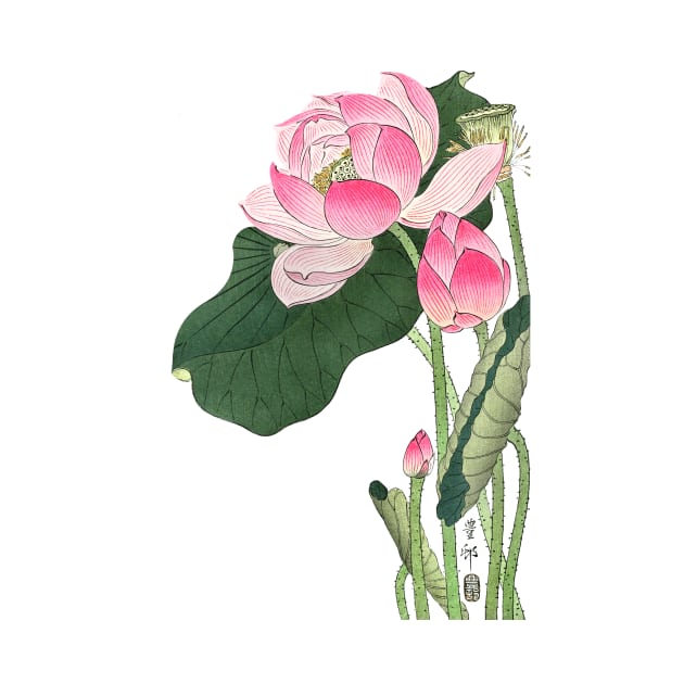 Blooming lotus flowers Japanese artwork by geekmethat