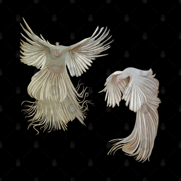 Albino Peacock Study by Le petit fennec