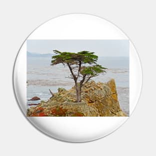 Lone Cypress Study 1 Pin