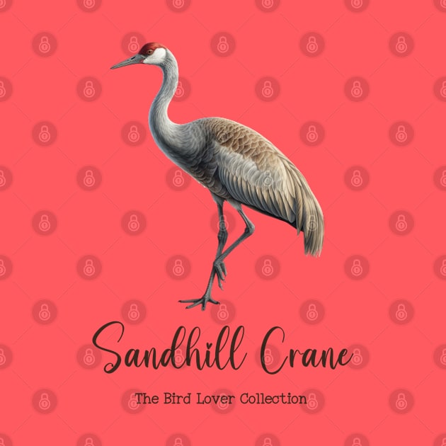 Sandhill Crane - The Bird Lover Collection by goodoldvintage