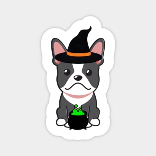 Cute french bulldog is a witch Magnet