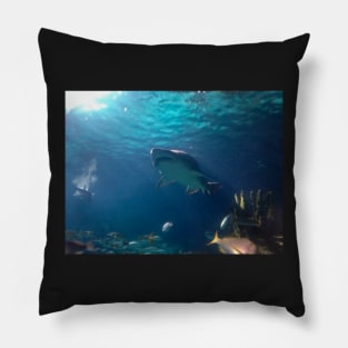 Shark! Pillow