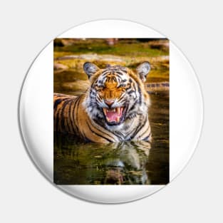 Bengal Tigress Pin