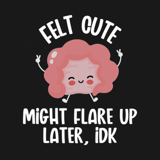 Felt Cute Might Flare Up Later T-Shirt