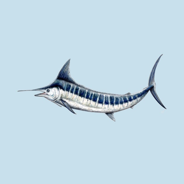 Blue marlin by chloeyzoard